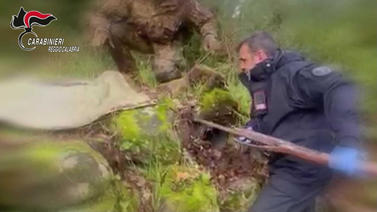 I Carabinieri scoprono un arsenale in Aspromonte