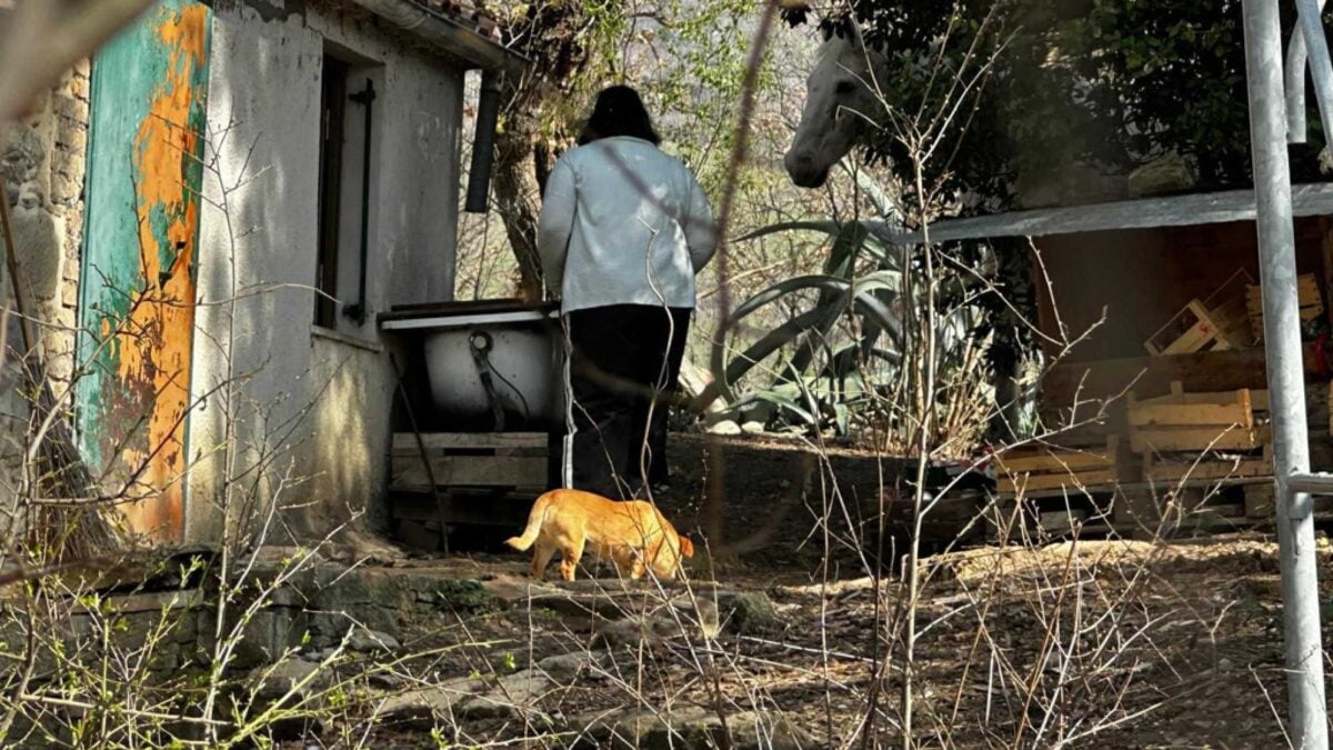 L’assistente sociale ora va all’attacco e fa causa ai legali dei bambini del bosco
