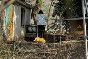 L’assistente sociale ora va all’attacco e fa causa ai legali dei bambini del bosco