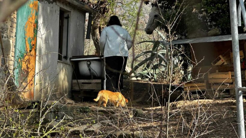 L’assistente sociale ora va all’attacco e fa causa ai legali dei bambini del bosco
