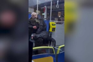 Napoli, accoltella una donna sul bus: «Volevo attirare l’attenzione di Gratteri»