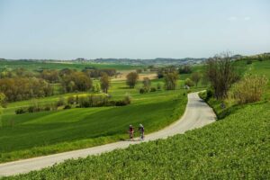Inseguendo Coppi lungo il Monferrato. Tra cantine e dolci che sono una favola