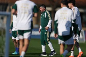 Il calcio italiano oggi lotta per sopravvivere