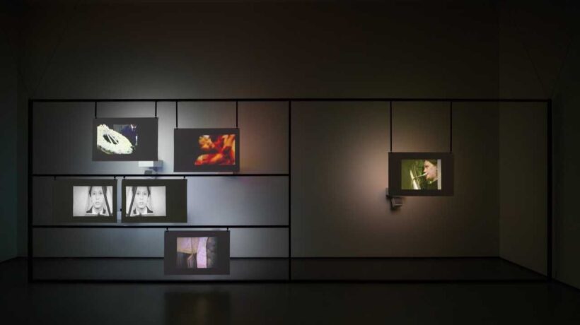 Palazzo Grassi e Punta della Dogana Pinault Collection