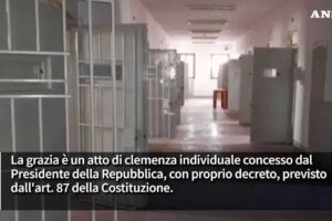 La grazia è un atto del Capo dello Stato, il Guardasigilli cura l’istruttoria