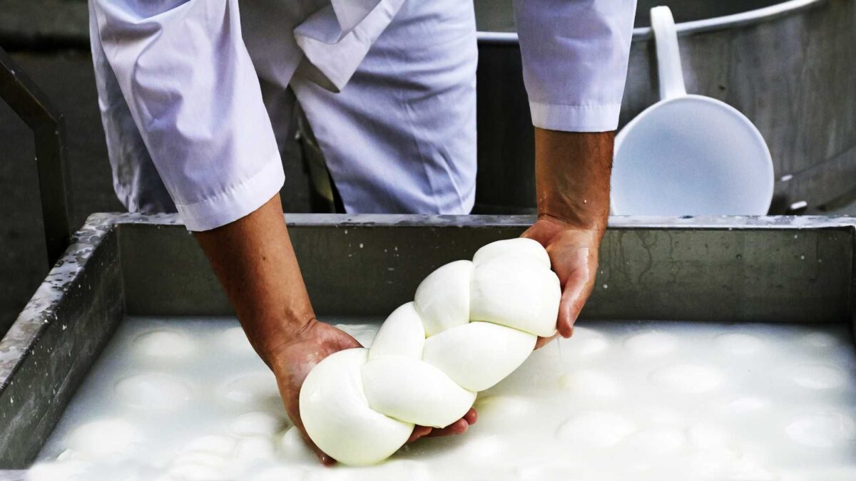 Metà delle mozzarelle campane si fa con cagliate tedesche e polacche
