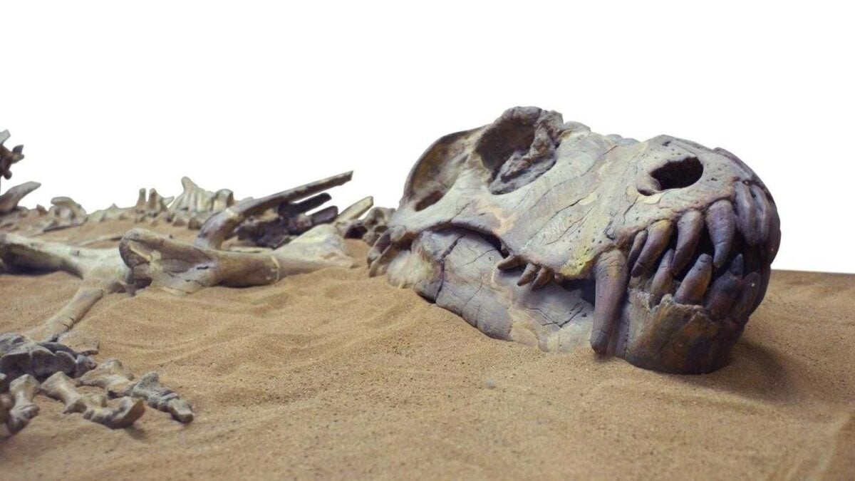 Dinosauri all’asta. La corsa dei miliardari al business dei fossili