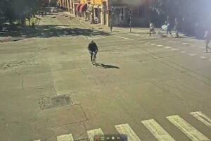 Risorsa in auto falcia la folla