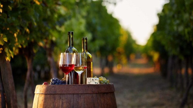 Un po’ di vino fa bene. Ecco il filo che lega Ippocrate ad Al Bano