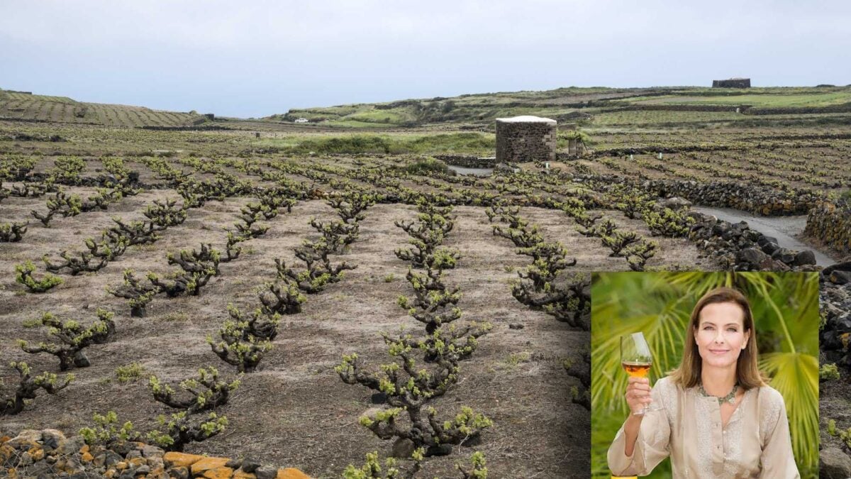 Lo spirito vulcanico di Pantelleria si trova nel suo vino