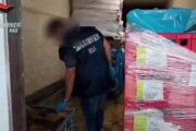 Pet food online, controlli dei Nas: sequestrate 60 tonnellate di alimenti e 200.000 confezioni