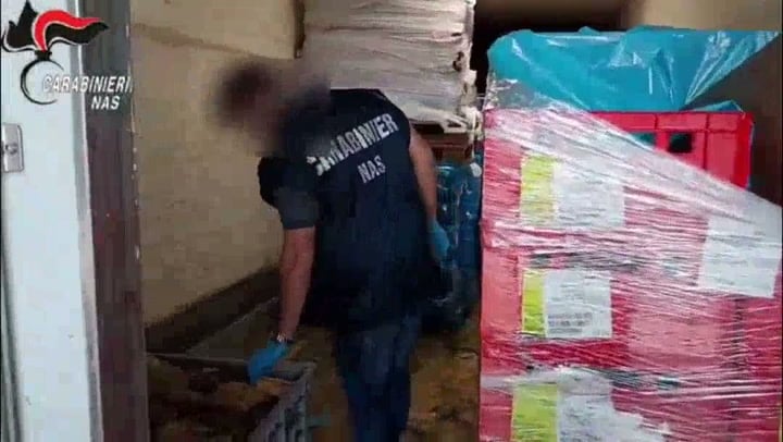 Pet food online, controlli dei Nas: sequestrate 60 tonnellate di alimenti e 200 mila confezioni