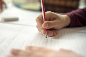 scuola woke compiti vacanze