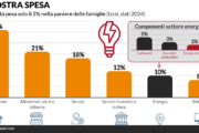 Solo il 2% della spesa delle famiglie va in elettricità, pesa di più il pieno