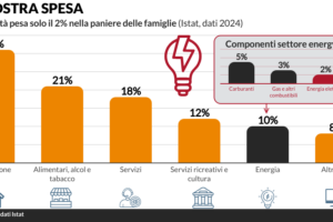 spesa famiglie elettricita