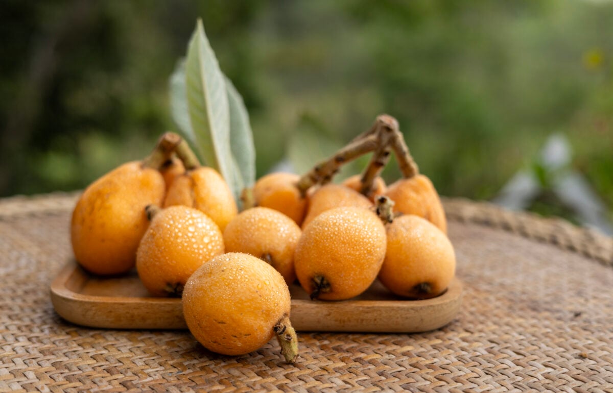 frutta nespole