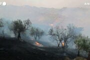 Anche la Grecia nella morsa degli incendi, tre vigili del fuoco morti