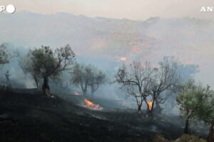 incendi grecia