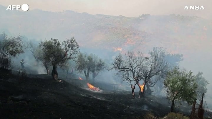 Anche la Grecia nella morsa degli incendi, tre vigili del fuoco morti