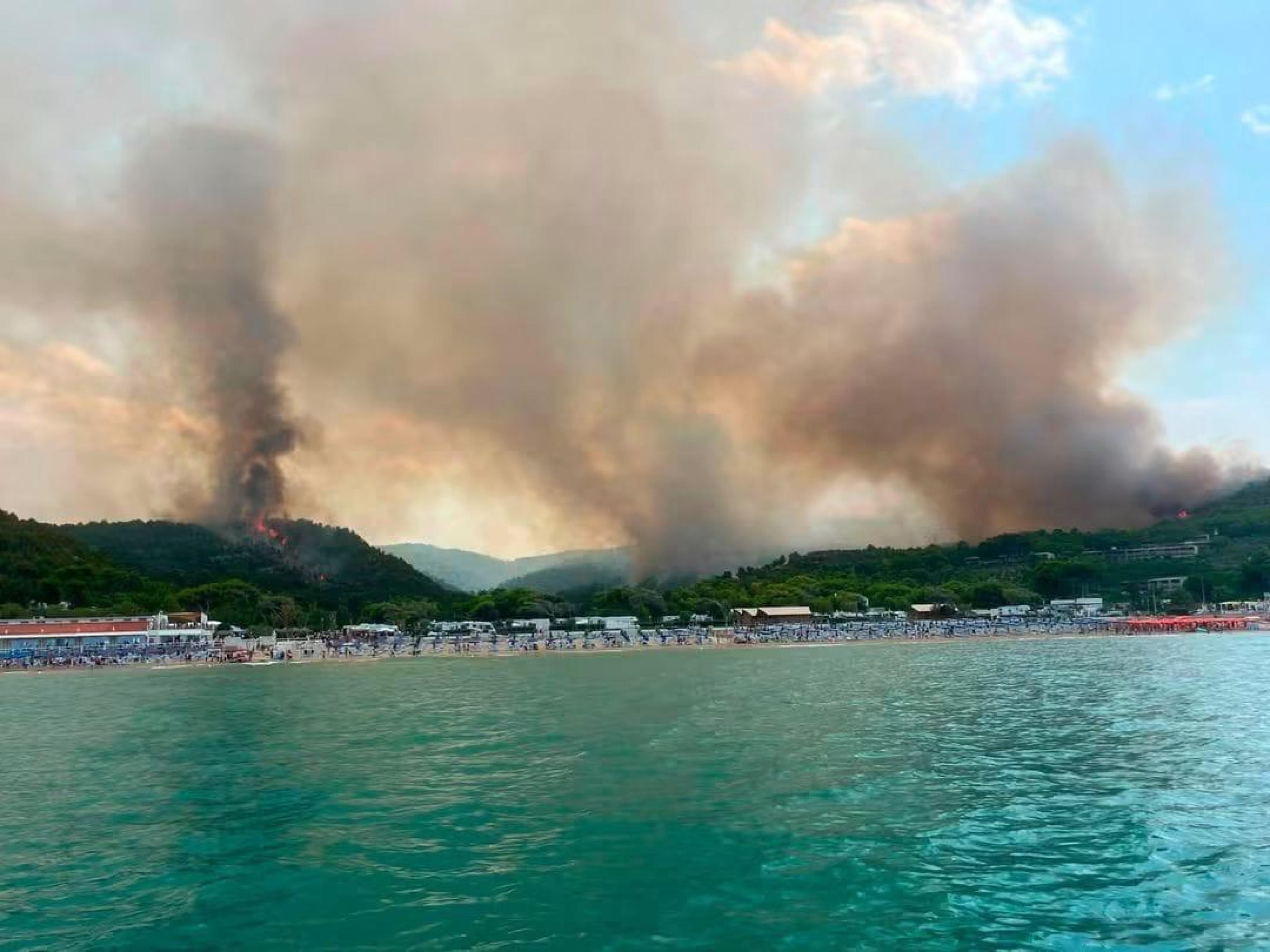 incendio sul gargano canadair a peschici da Laverita.info incendio sul gargano canadair a peschici