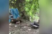 Prato, sequestrati orti abusivi dei cinesi vicino a un’ex discarica