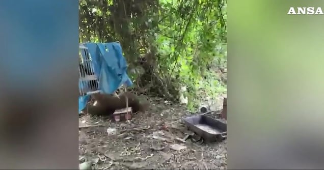 Prato, sequestrati orti abusivi dei cinesi vicino a un’ex discarica