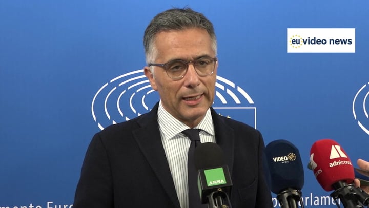 Automotive, Salini: «Serve ribaltare il regolamento. Troppi errori che danneggiano le industrie»