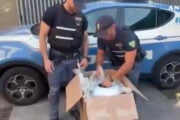 polizia blitz droga torino