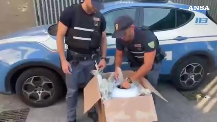 Torino, stretta sullo spaccio a Barriera Milano: 11 arresti