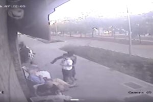 video aggressione milano