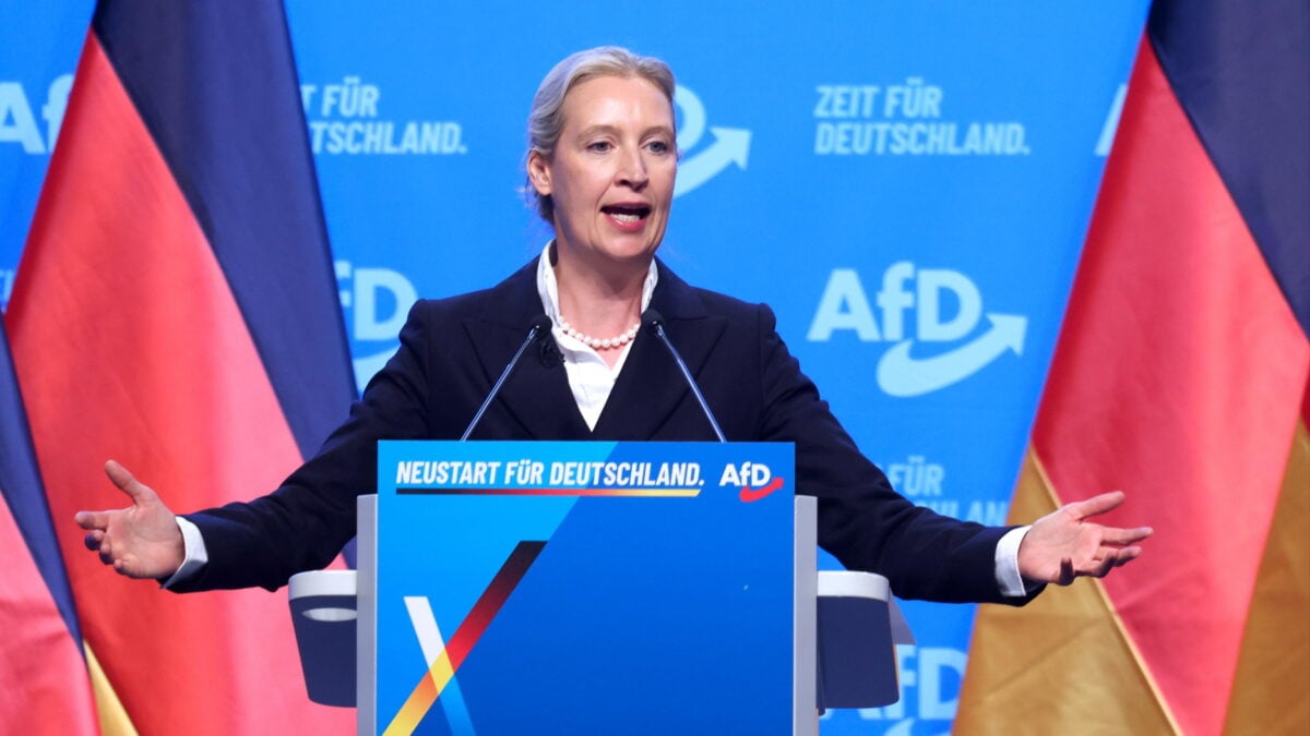 alice weidel afd
