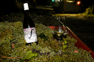 moscatello fonte fiorita tenuta secolo IX