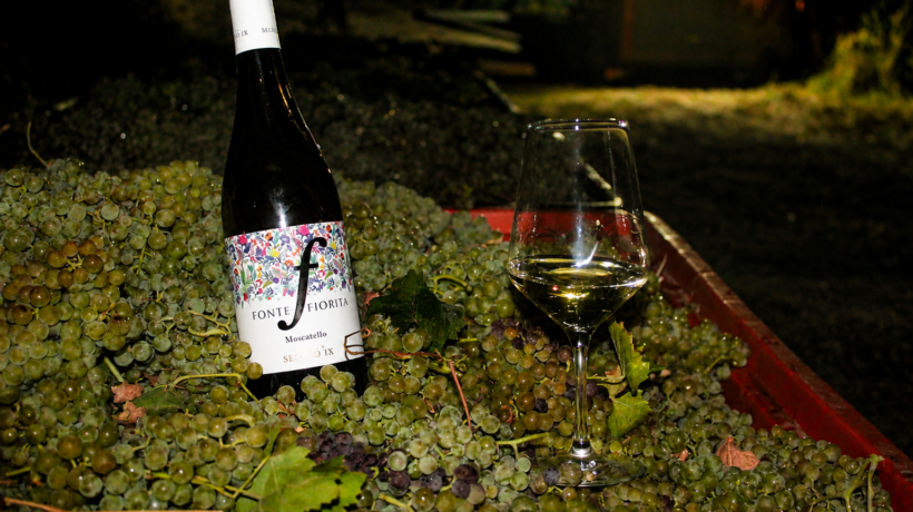 Il Moscatello inaugura la stagione della vendemmia in Abruzzo