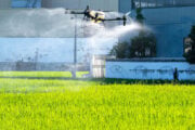 Pesticidi, se passa il piano Ue colazione salata per tutti
