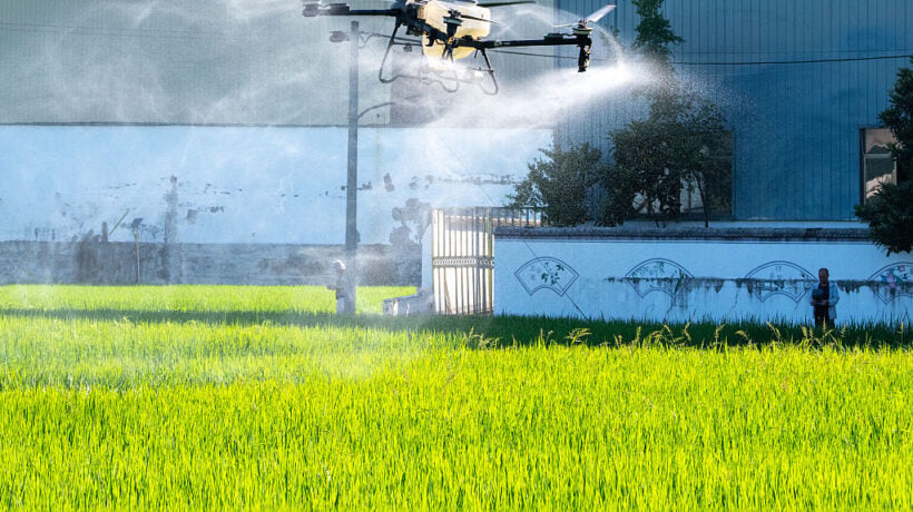 Pesticidi, se passa il piano Ue colazione salata per tutti