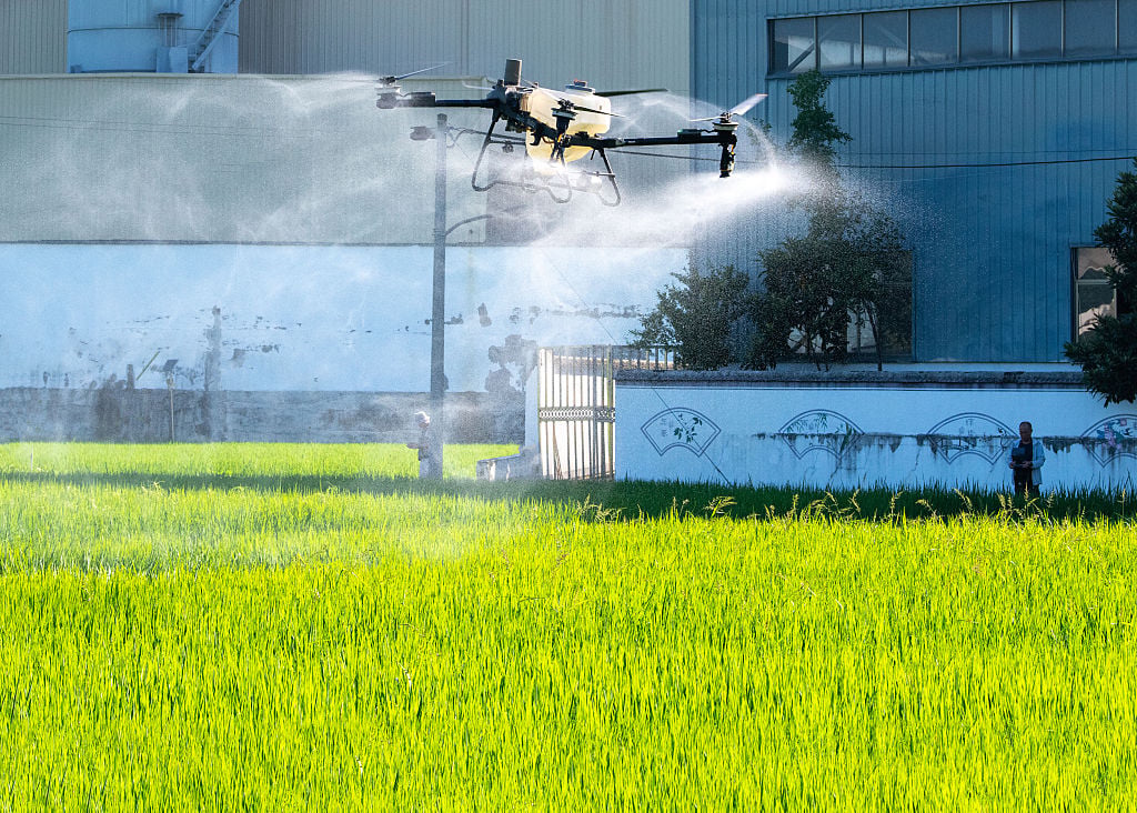 pesticidi se passa il piano ue colazione salata per tutti da Laverita.info pesticidi se passa il piano ue colazione salata per tutti
