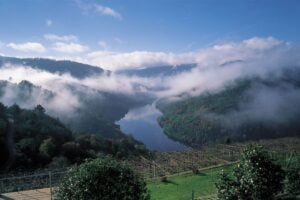 Ribera Sacra, il tesoro nascosto della Galizia tra fiumi e vigneti