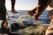 «I burocrati Ue non conoscono il Mediterraneo»