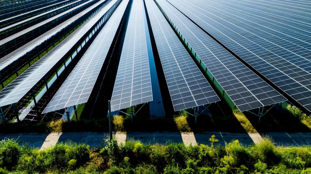 Il Pd schifa il green perché è ebreo