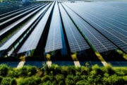 Il Pd schifa il green perché è ebreo