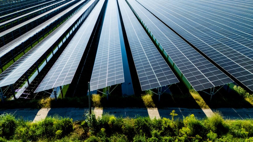 Il Pd schifa il green perché è ebreo