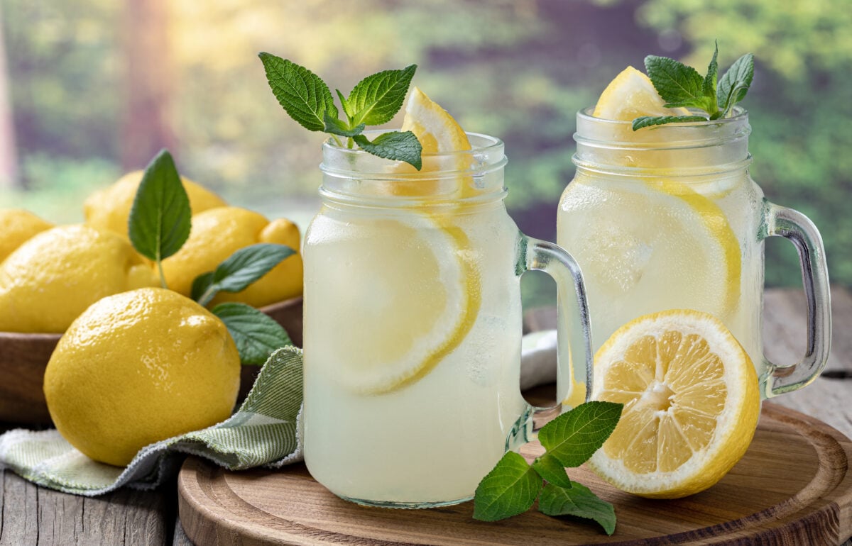 Lo Stato stana dei pericolosi evasori: tre ragazzini che vendono limonate