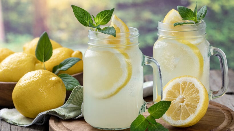 Lo Stato stana dei pericolosi evasori: tre ragazzini che vendono limonate