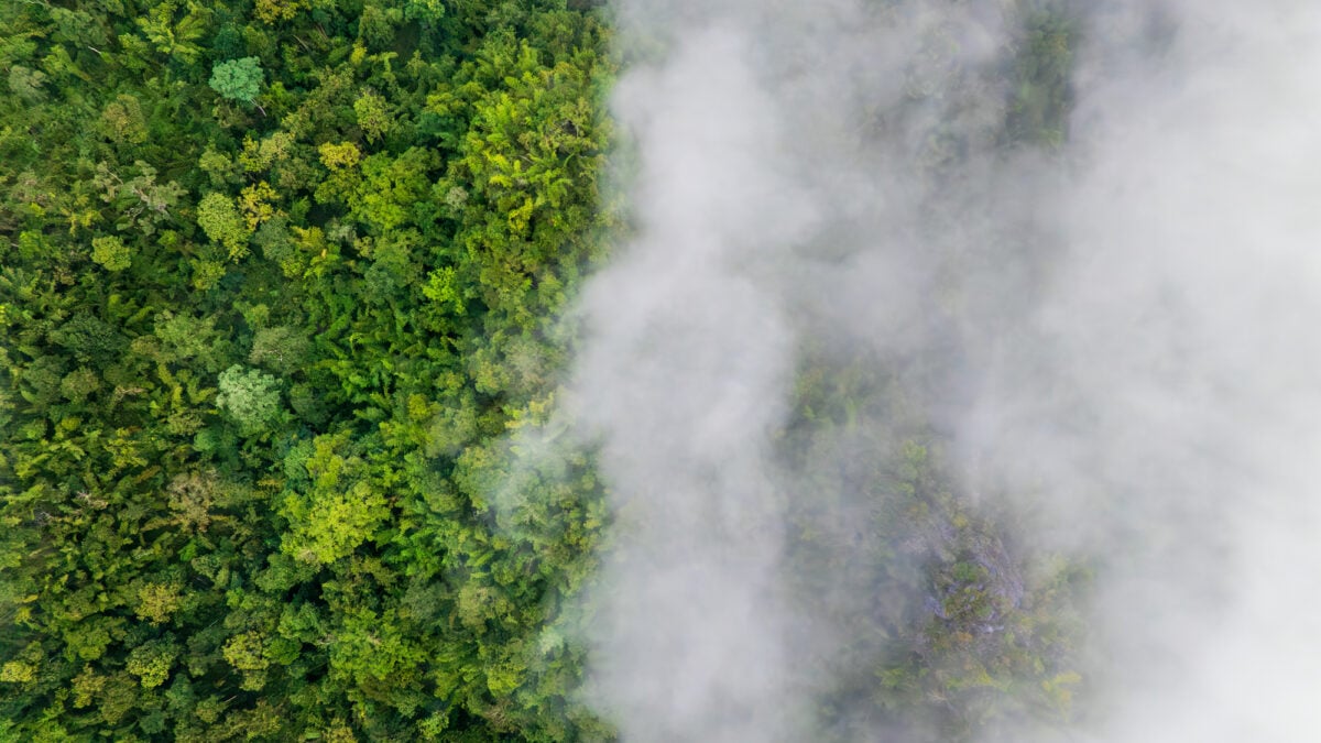 Riscaldamento globale ridotto a barzelletta dai suoi stessi corifei