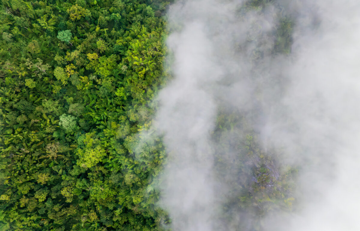 Riscaldamento globale ridotto a barzelletta dai suoi stessi corifei