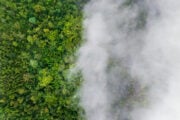 Riscaldamento globale ridotto a barzelletta dai suoi stessi corifei