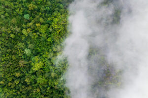 Riscaldamento globale ridotto a barzelletta dai suoi stessi corifei