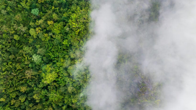 Riscaldamento globale ridotto a barzelletta dai suoi stessi corifei