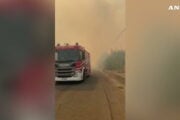 incendi tarantino