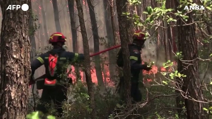Grecia in fiamme: incendio a 70 chilometri da Atene minaccia Porto Germeno